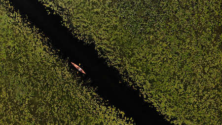 Top aerial view of young man floats on an orange kayak on the overgrown river. Ukraine, Europeの写真素材