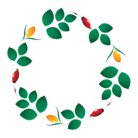 Frame with leaves and berriesのイラスト素材