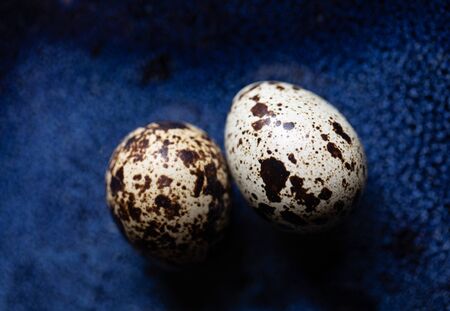 Closeup of two quail eggs