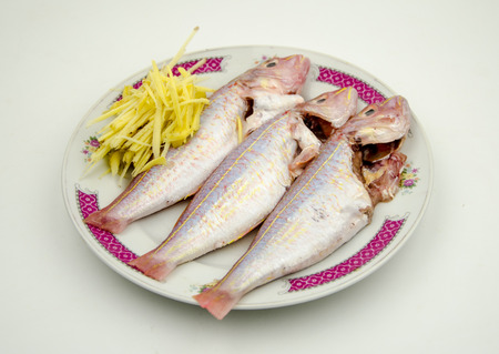 Nemipterus virgatus