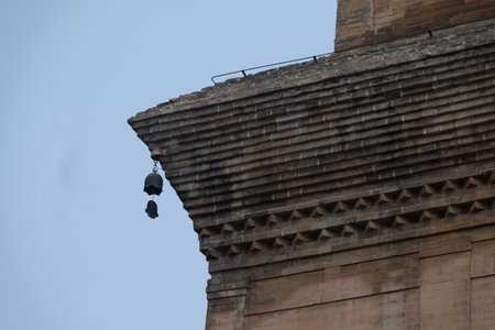 some beautiful view in xi an history of city ï¼Greater Wild Goose Pagoda; small wild goose pagodaの写真素材