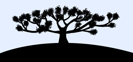 Tree silhouetteの写真素材