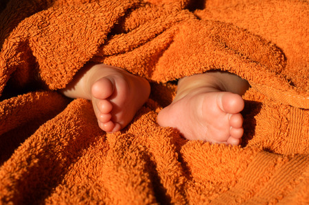 Baby feet under blanketの写真素材