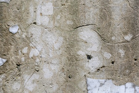 rough texture of a old gray wall.の写真素材