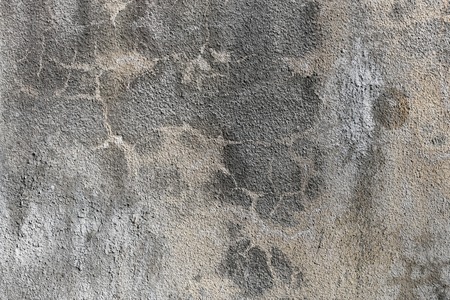 rough texture of a old gray wall.の写真素材