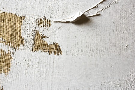 wash of white primer of the canvas. texture for artistsの写真素材