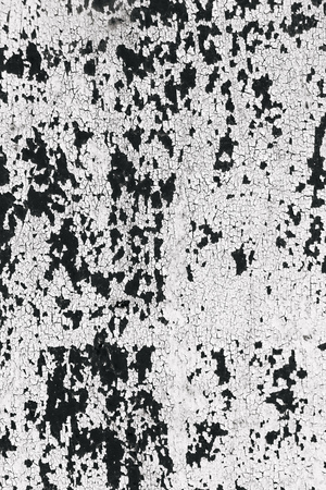 black and white texture of old boards.の写真素材