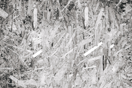 black and white texture of peach wood