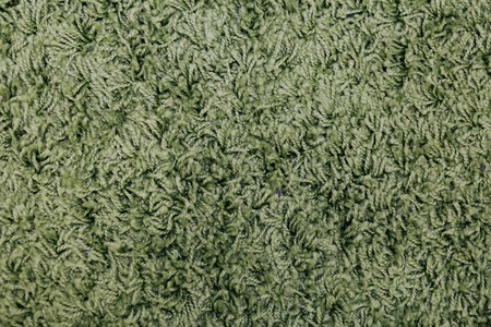 the fluffy texture of the carpet. backgroundの写真素材