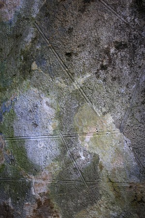 rough gray color wall texture. background for design with vignetting
