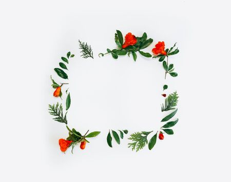 flower arrangement in a square. a pattern of red and orange flowers on a white background. Flatly, the concept of summer or spring, text frameの写真素材