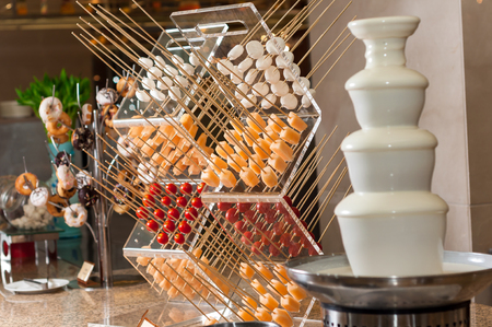 Chocolate fondue with fruitsの写真素材