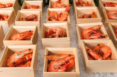 shrimpの写真素材