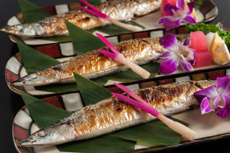 Grilled sauryの写真素材