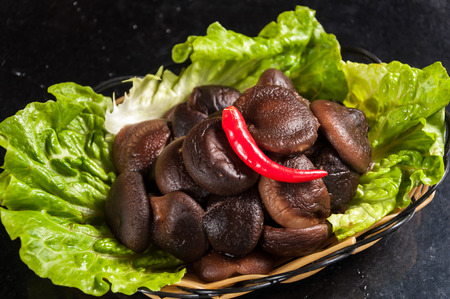 Shiitake Mushroomの写真素材