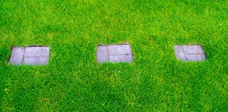 Footpath on a grassの写真素材