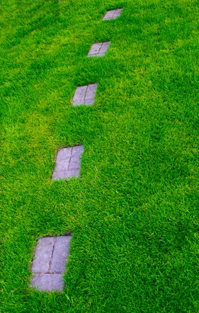 Footpath on a grassの写真素材