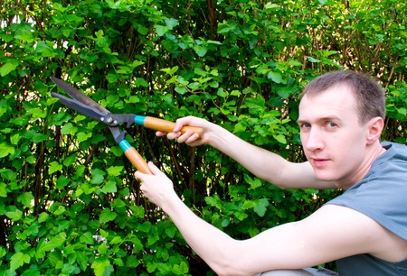 Hands are cut bush clippersの写真素材