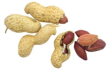 Peanut isolated on white background