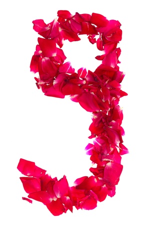Pink rose petals forming number 9の写真素材