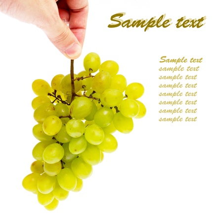 hand with a bunch of grapes on a white with sample textの写真素材