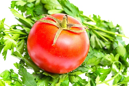 fresh tomato and parsley on a white backgroundの写真素材