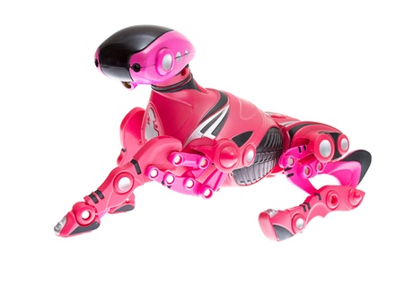 pink robot dog on a whiteの写真素材