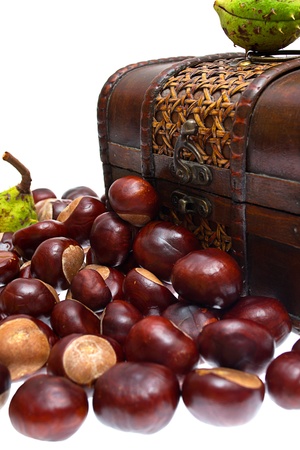 chestnuts in the chest and about on a white backgroundの写真素材