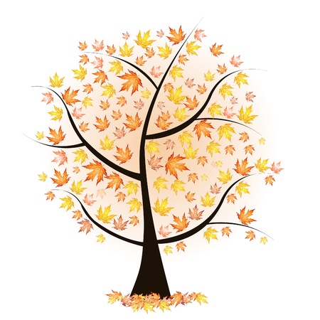 autumn tree with colourful leavesのイラスト素材