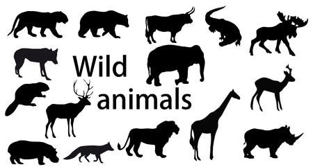 vector set: wild animalsのイラスト素材