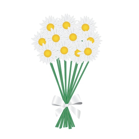 a posy of daisies tied with a white ribbon illustrationのイラスト素材
