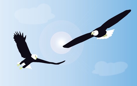 Two white tailed eagles are fighting in mid air against a background of blue sky. Vector.のイラスト素材