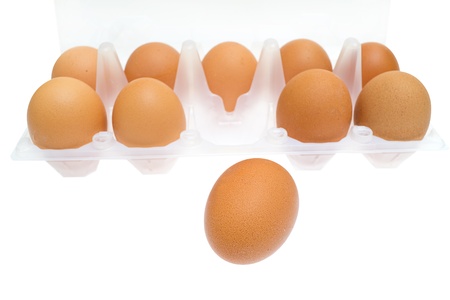Chicken brown egg closeup view background