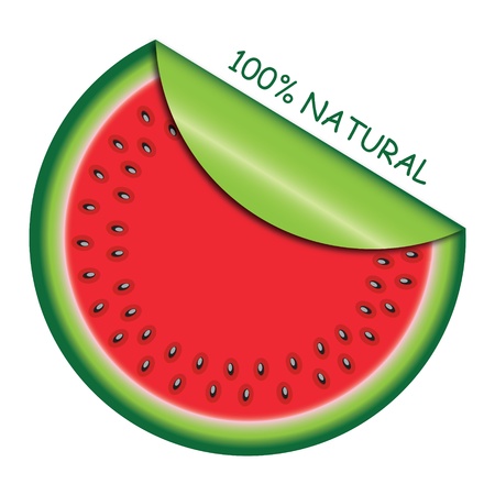 Icon watermelon slice with  with rolled corner. Vector illustration.のイラスト素材