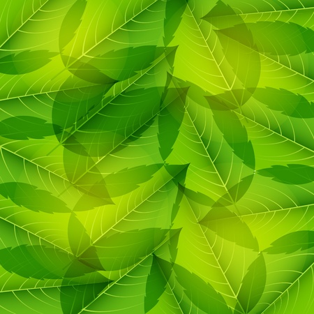 Seamless pattern with green leaves. Illustration.のイラスト素材