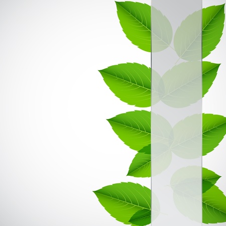 Abstract nature background with leaves  illustrationのイラスト素材