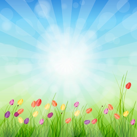 Summer Abstract Background with grass and tulips against sunny sky illustration のイラスト素材