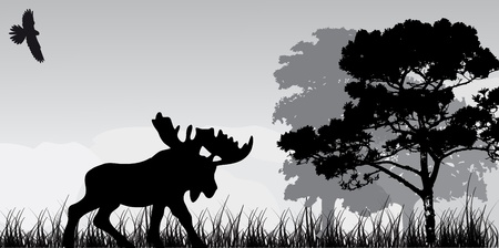 silhouette of elk and treeのイラスト素材