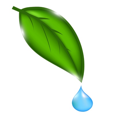water drop with green leaves.illustrationのイラスト素材