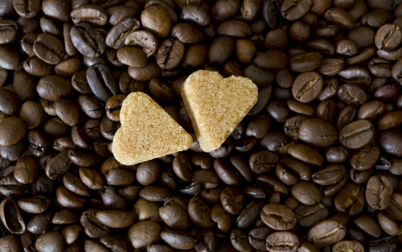 coffee beans, cup, Pots, cinnamon on dark backgroundの写真素材