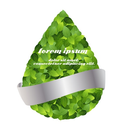 Green eco friendly label from green leaves  Vector illustration のイラスト素材