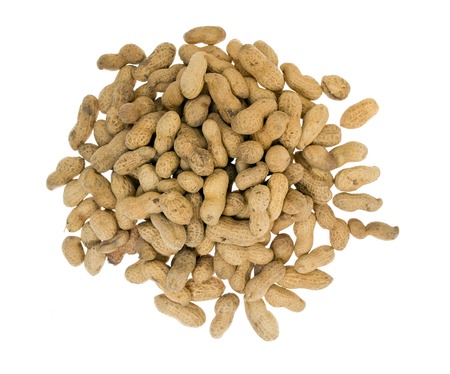 peanut background