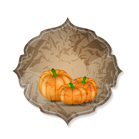 Orange Pumpkin  Background Vector Illustrationのイラスト素材
