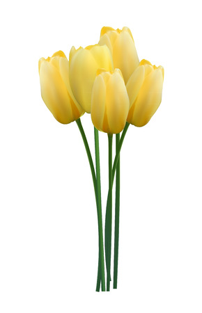 Floral background with Tulips Vector Illustrationのイラスト素材