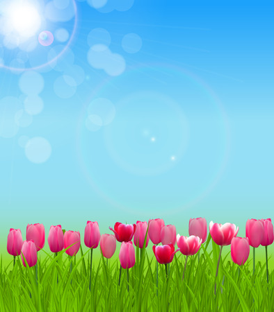Floral background with Tulips Vector Illustrationのイラスト素材