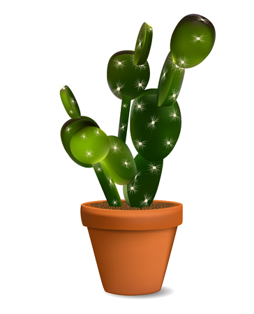 Cactus in Flowerpot. Isolated Vector Illustration EPS10のイラスト素材