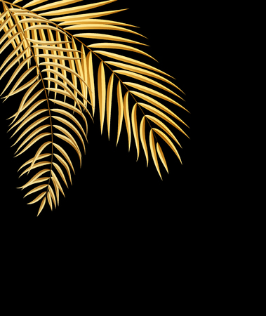 Beautifil Palm Tree Leaf  Silhouette Backgroundのイラスト素材