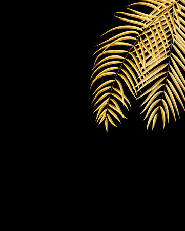 Beautifil Palm Tree Leaf  Silhouette Background Vector Illustrationのイラスト素材
