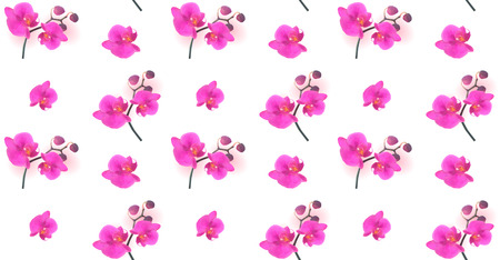 Seamless Pattern Naturalistic Beautiful Colorful Pink Orchid.