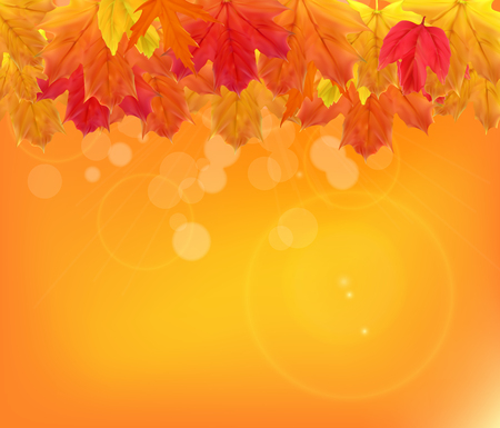 Shiny Autumn Natural Leaves Background. Vector Illustrationのイラスト素材